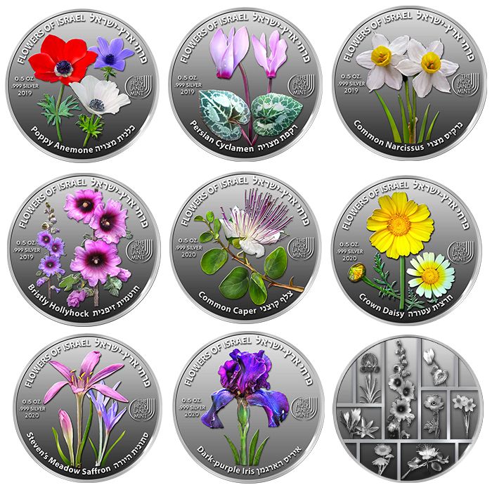 Ecco le nove varietà di fiori tipici di Israele e la loro elegante cromia sulle nuove medaglie