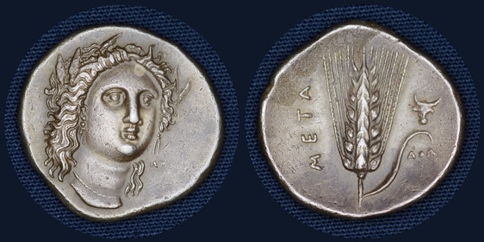 Tesori dal Monetiere di Palazzo Blu: nomos o statere, Metaponto (Lucania) 330-290 a.C. (argento mm 21 g 7)