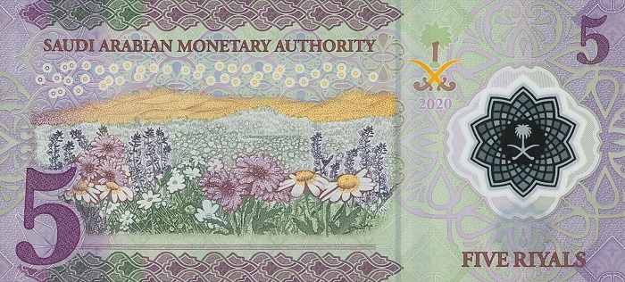 Se il fronte della prima banconota polimerica saudita omaggia il re e l'industria petrolifera, il retro mostra un verdeggiante paesaggio campestre