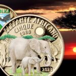 elefante africano moneta euro italia ipzs collezione numismatica