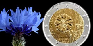 fiordaliso fiore nazionale estonia due euro moneta natura ambiente fortuna amore pace