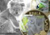 moneta da 5 euro koala wwf ipzs euro collezione italia numismatica natura ambiente