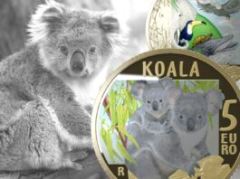 moneta da 5 euro koala wwf ipzs euro collezione italia numismatica natura ambiente