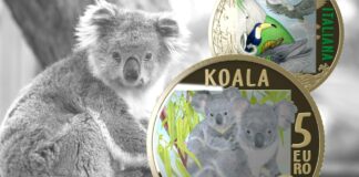 moneta da 5 euro koala wwf ipzs euro collezione italia numismatica natura ambiente