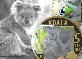 moneta da 5 euro koala wwf ipzs euro collezione italia numismatica natura ambiente