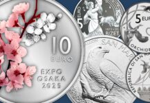 euro monete sammarinesi 2025 san marino numismatica collezione novità expo osaka bizer michelangelo giubileo anno santo orchidee falco pellegrino oro argento rarità valore