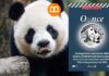 once di argento oncia ounce 2025 silver moneta coin bullion investimento collezione panda eagle falco catalogo prezzi valore unificato cif libro numismatica novità lire euro