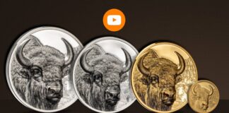 selvaggia mongolia bisonte cit coin invest moneta coin oro argento collezione wild mongolia smartminting limited edition