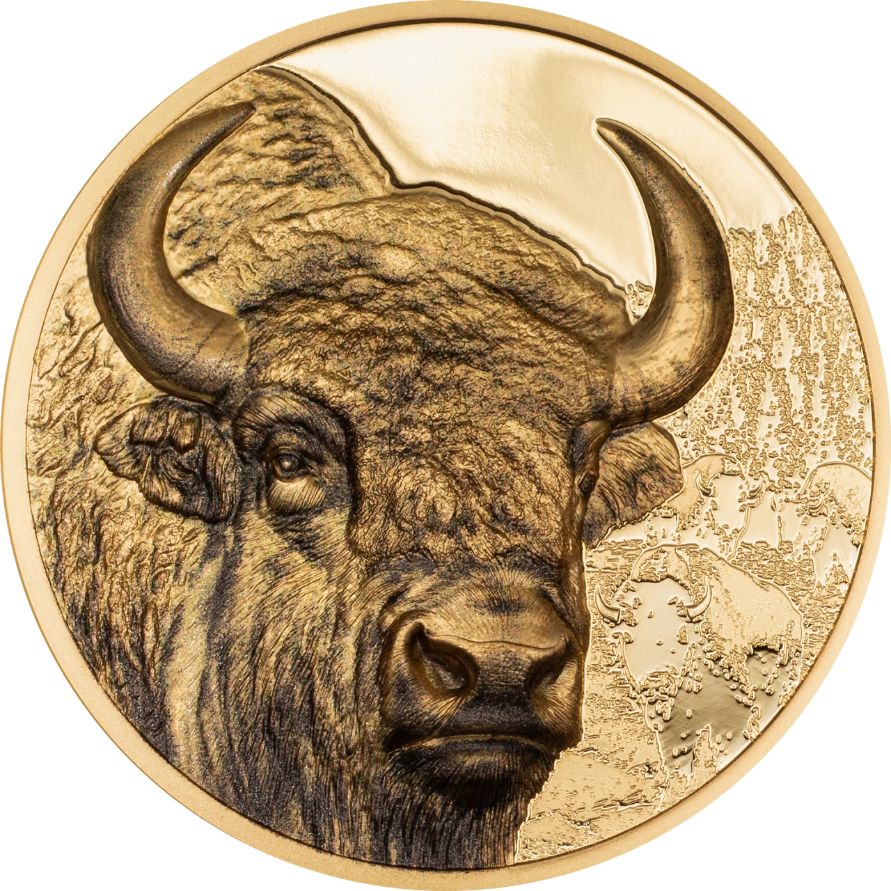 selvaggia mongolia bisonte cit coin invest moneta coin oro argento collezione wild mongolia smartminting limited edition